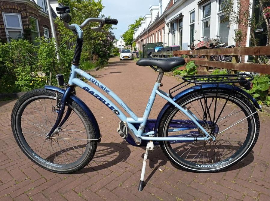 Gazelle Whale 24 inch kinder-/ meisjesfiets, Fietsen en Brommers, Fietsen | Meisjes, Ophalen, Terugtraprem, Handrem, Gazelle