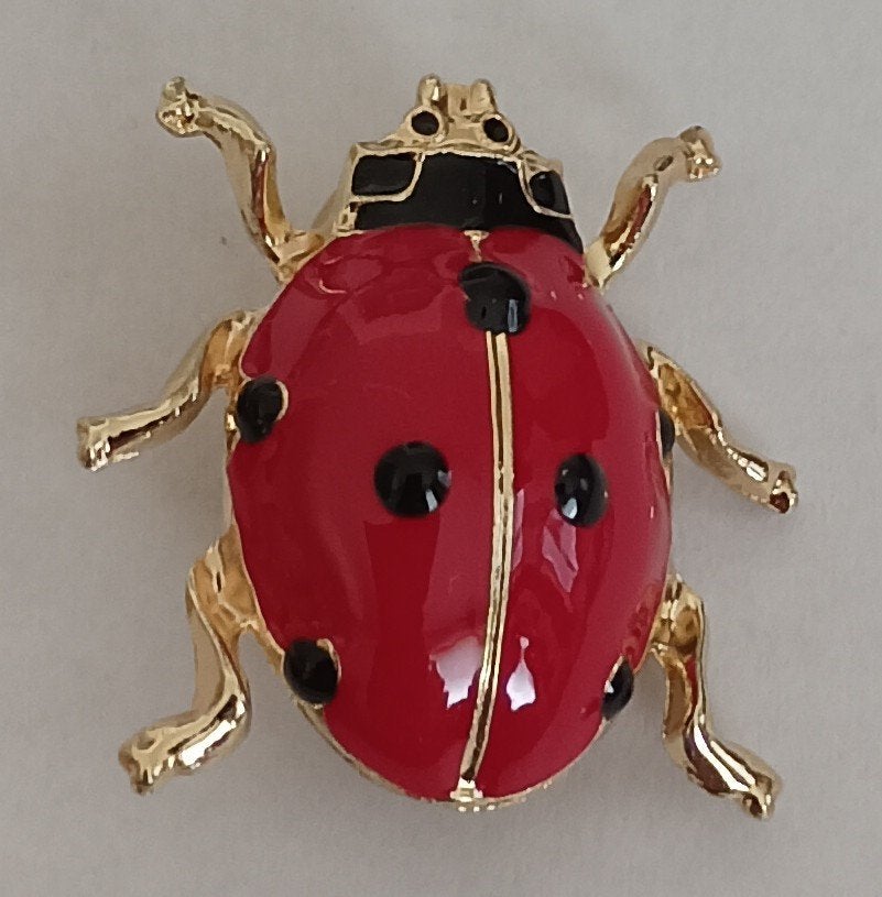 Lieveheersbeestje broche, Overige materialen, Overige kleuren, Minder dan 4 cm, Nieuw