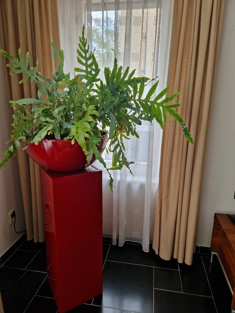 planten pilaar  met hoogglans planten schaal Art en Voque, Ophalen, Zo goed als nieuw