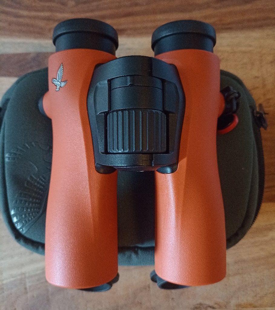 Swarovski NL Pure 8x32 (Oranje), Ophalen, Dakkant (recht), Zo goed als nieuw, 8 tot 12x
