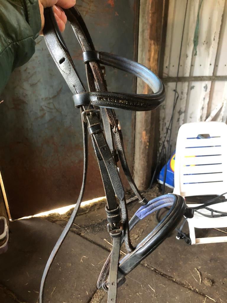Pony hooftstel met teugels, Ophalen of Verzenden, Zo goed als nieuw, Overige merken