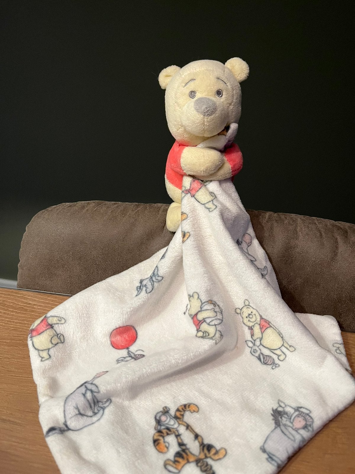 Schattig Disney Winnie de Poeh knuffel doekje, Ophalen of Verzenden, Zo goed als nieuw