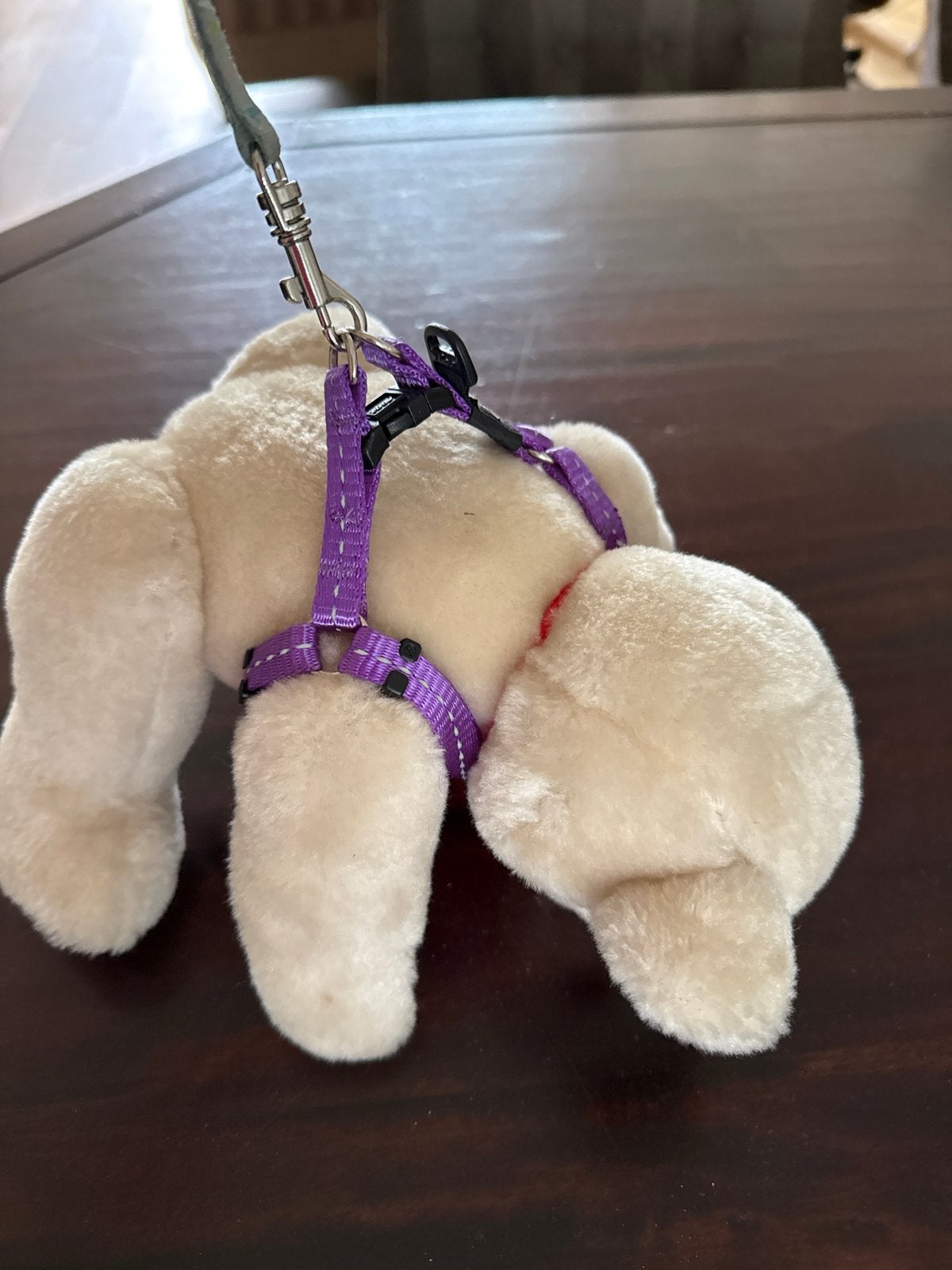 Honden puppy tuigje, Ophalen of Verzenden
