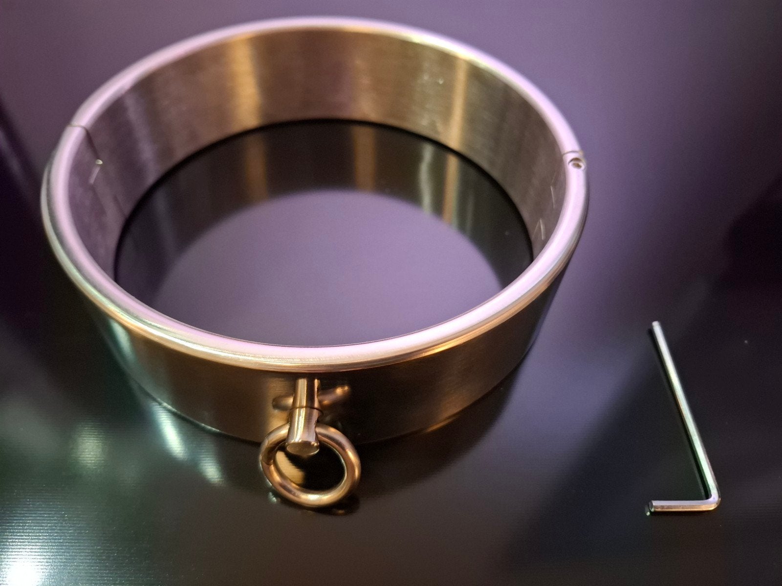 RVS Collar - Halsboei (NIEUW), Verzamelen, Ophalen of Verzenden