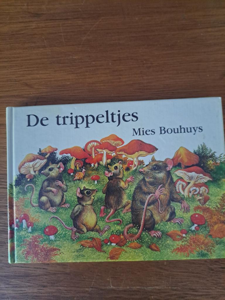 De Trippeltjes - Mies Bouhuys (Kinderboek), Ophalen of Verzenden, Gelezen, Mies Bouhuys, Fictie algemeen