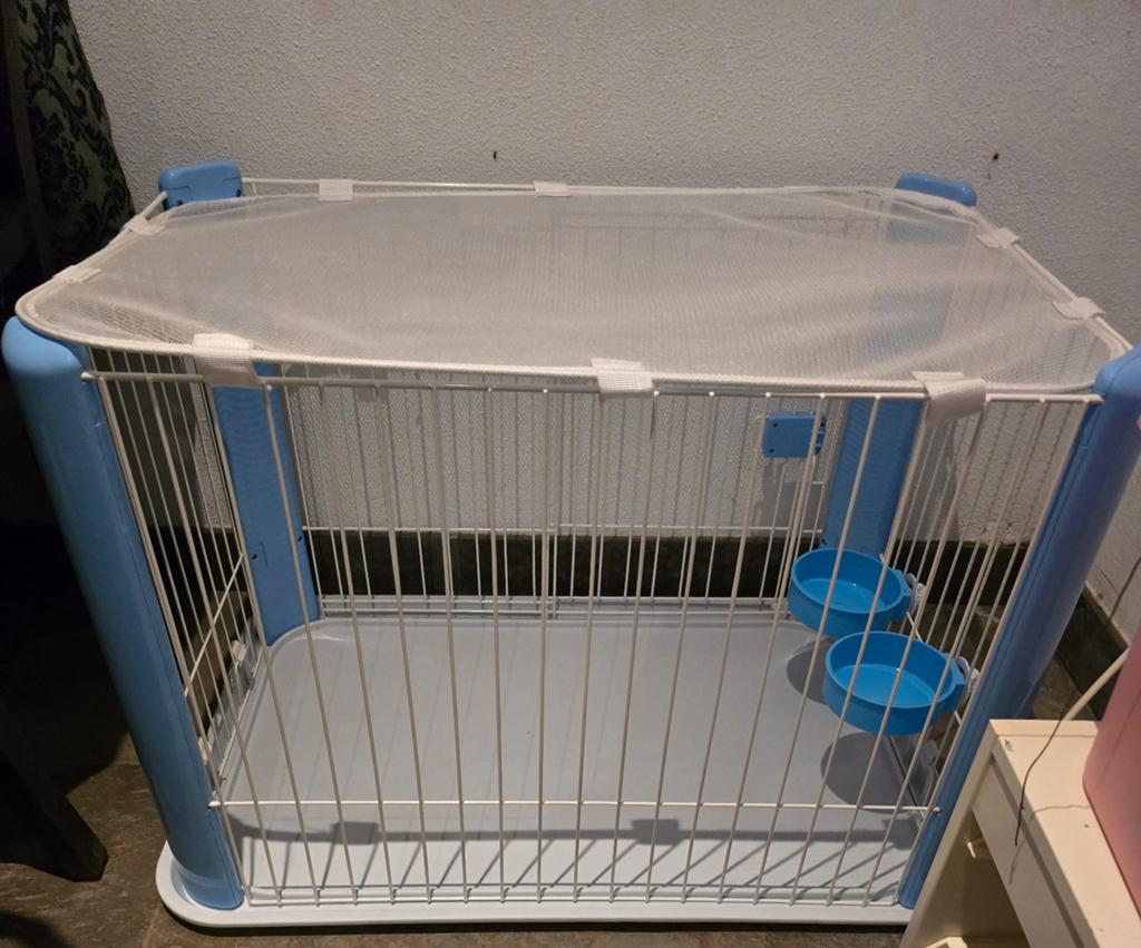Puppy bench wit met blauw hond puppy, Dieren en Toebehoren, Ophalen, Zo goed als nieuw