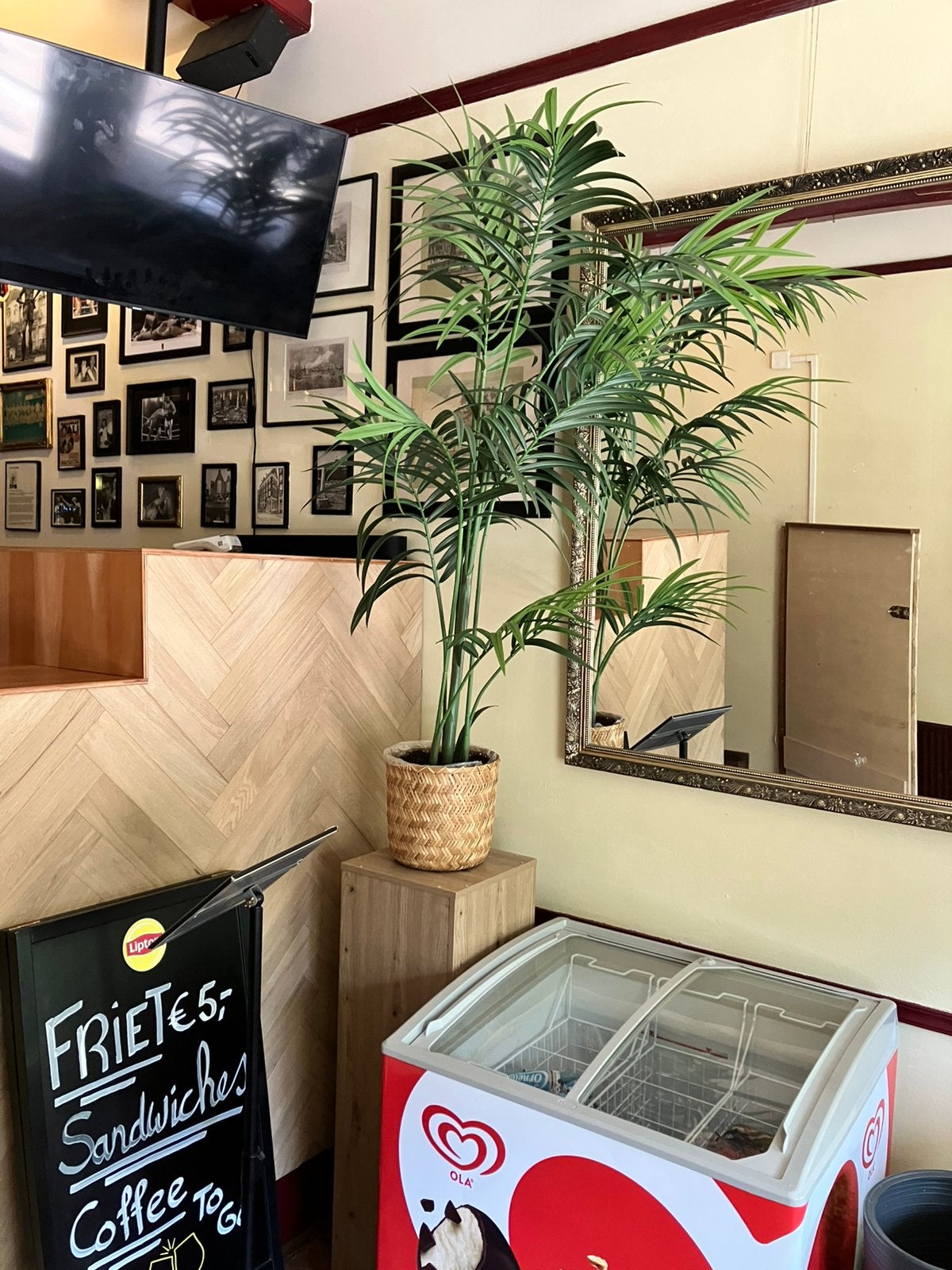 Palm 150 m