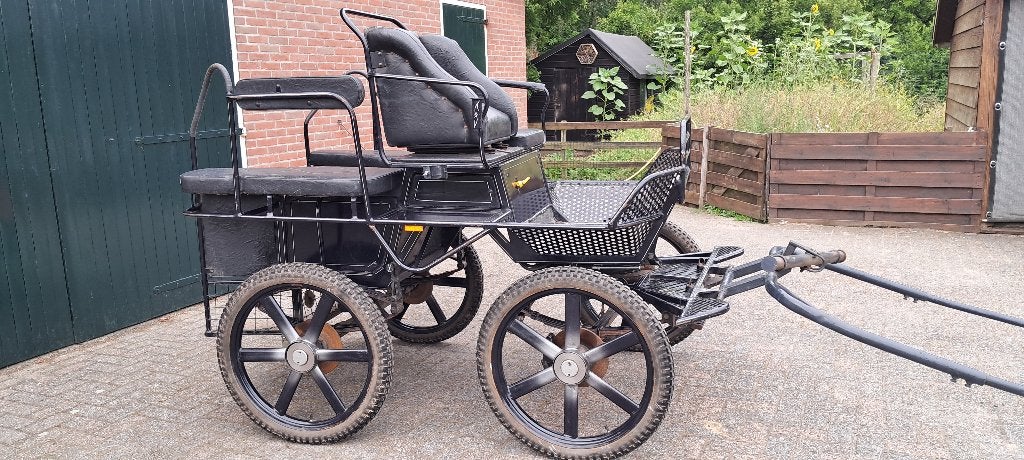 Marathonwagen, Gebruikt, Overige typen, Paard