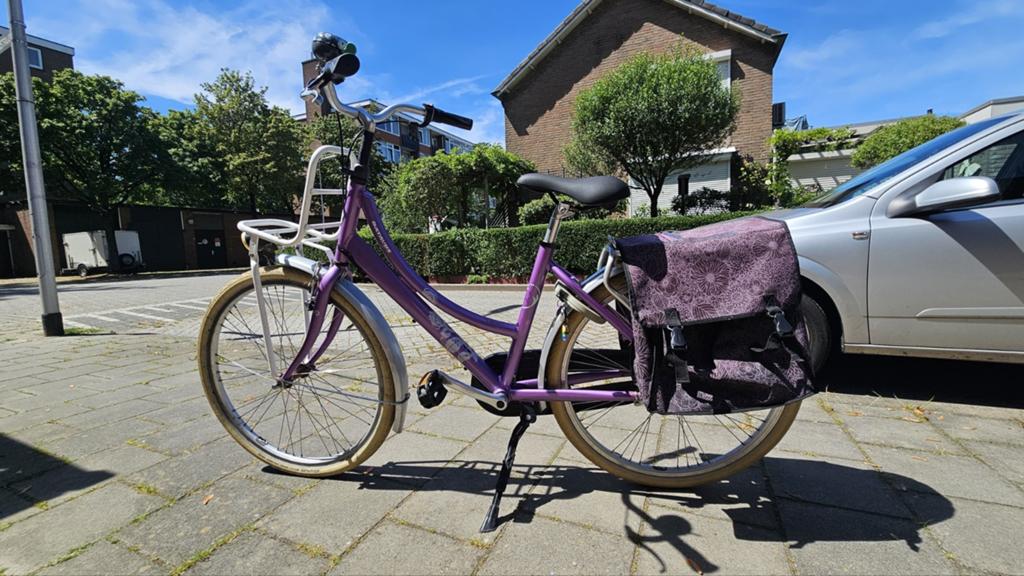 Batavus Diva 43 inch kinderfiets, Ophalen, Minder dan 10 versnellingen, Gebruikt, Minder dan 49 cm