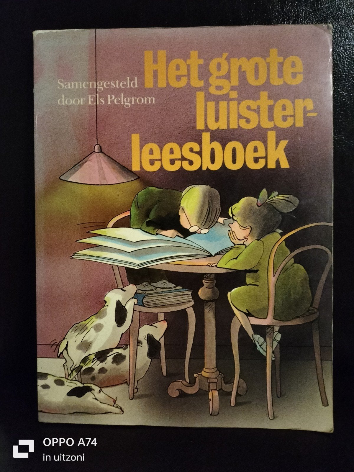 Het Grote Luister-Leesboek - Samengesteld door Els Pelgrom, Ophalen of Verzenden, Gelezen, Els Pelgrom (samensteller), Fictie algemeen