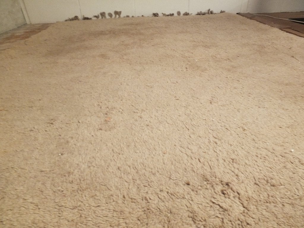 vloerkleed, Huis en Inrichting, Ophalen, Gebruikt, 150 tot 200 cm, 200 cm of meer