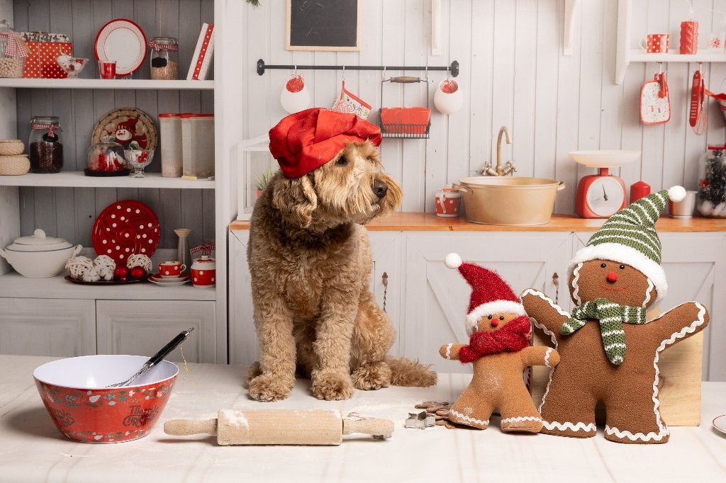 kerst foto achtergrond, Audio, Tv en Foto, Fotografie | Fotostudio en Toebehoren, Ophalen, Gebruikt, Overige merken, Achtergrond