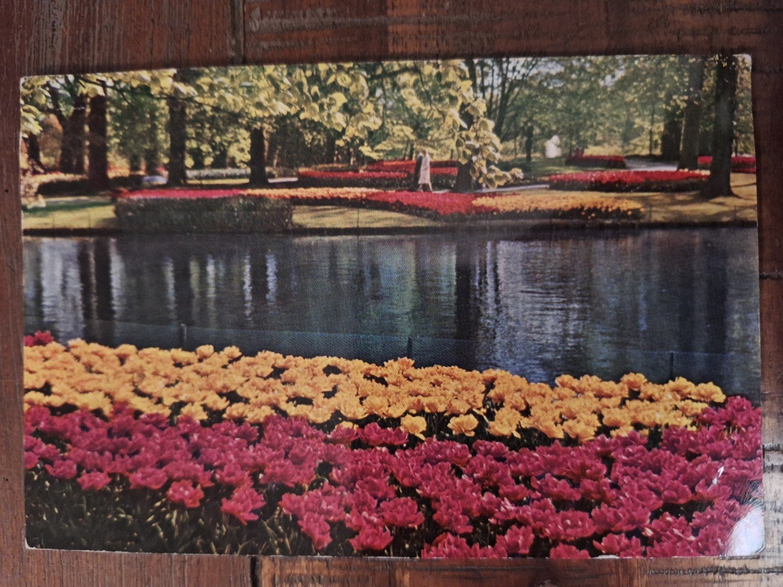 Lisse - Keukenhof, Ophalen of Verzenden, Gelopen, Zuid-Holland
