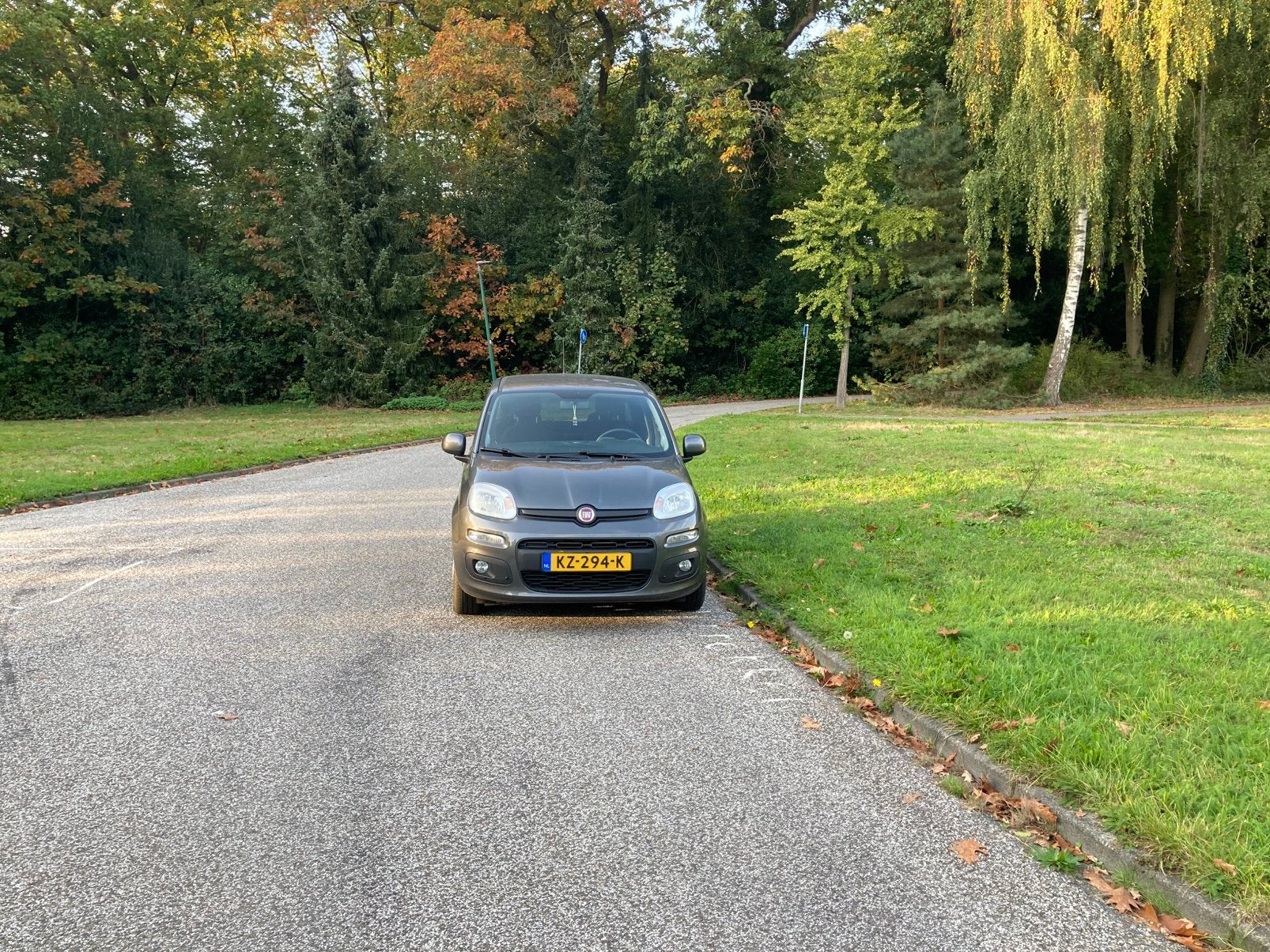 Fiat Panda 1.2 69PK 2016 Grijs nl auto, Stof, Origineel Nederlands, Handgeschakeld, Grijs