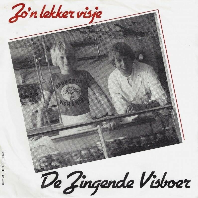 Vinylsingles gezocht  ,zie foto's, Ophalen of Verzenden, Zo goed als nieuw, Overige formaten, Levenslied of Smartlap