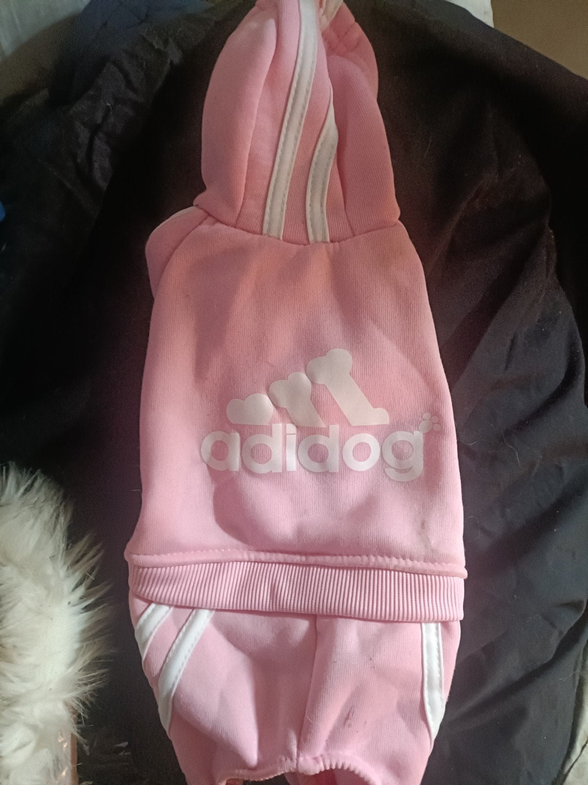 joggingpak adidog voor kleine hond en een bodywarmertje, Ophalen of Verzenden, Nieuw