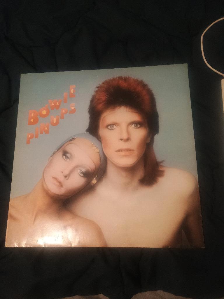 Pin ups- David Bowie, Ophalen, Gebruikt, 12 inch, Poprock