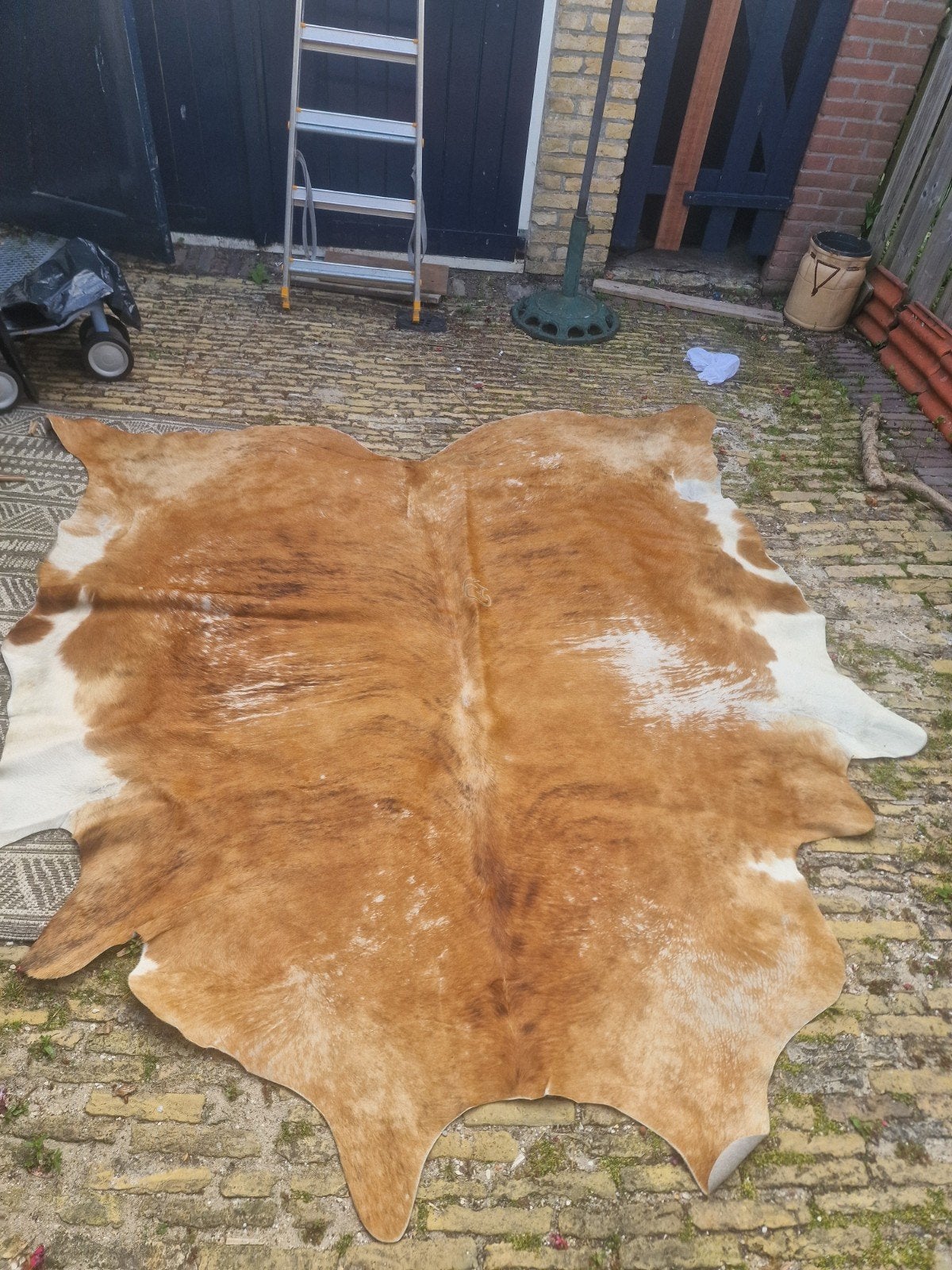 Mooie koeienhuid, Ophalen, 150 tot 200 cm, 200 cm of meer, Zo goed als nieuw