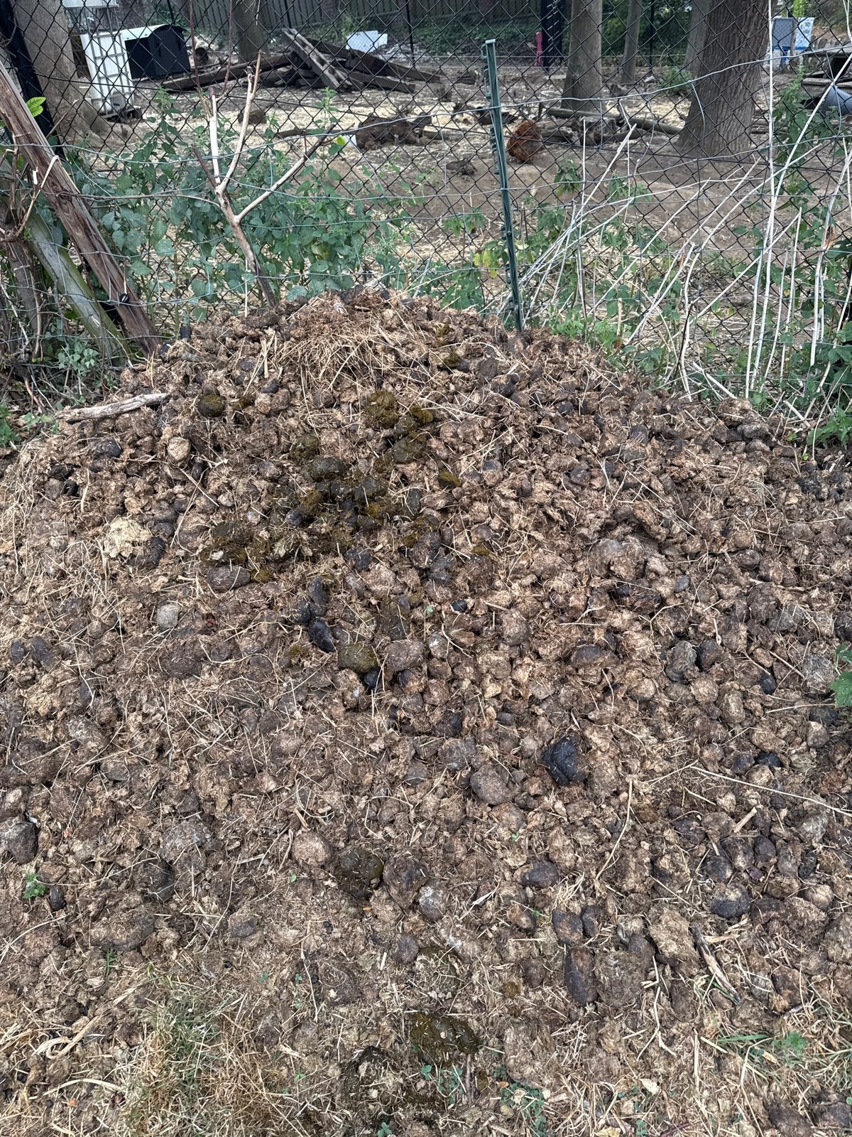 Mooie deels gecomposteerde paardenmest, Tuin en Terras, Aarde en Mest, Ophalen, Mest