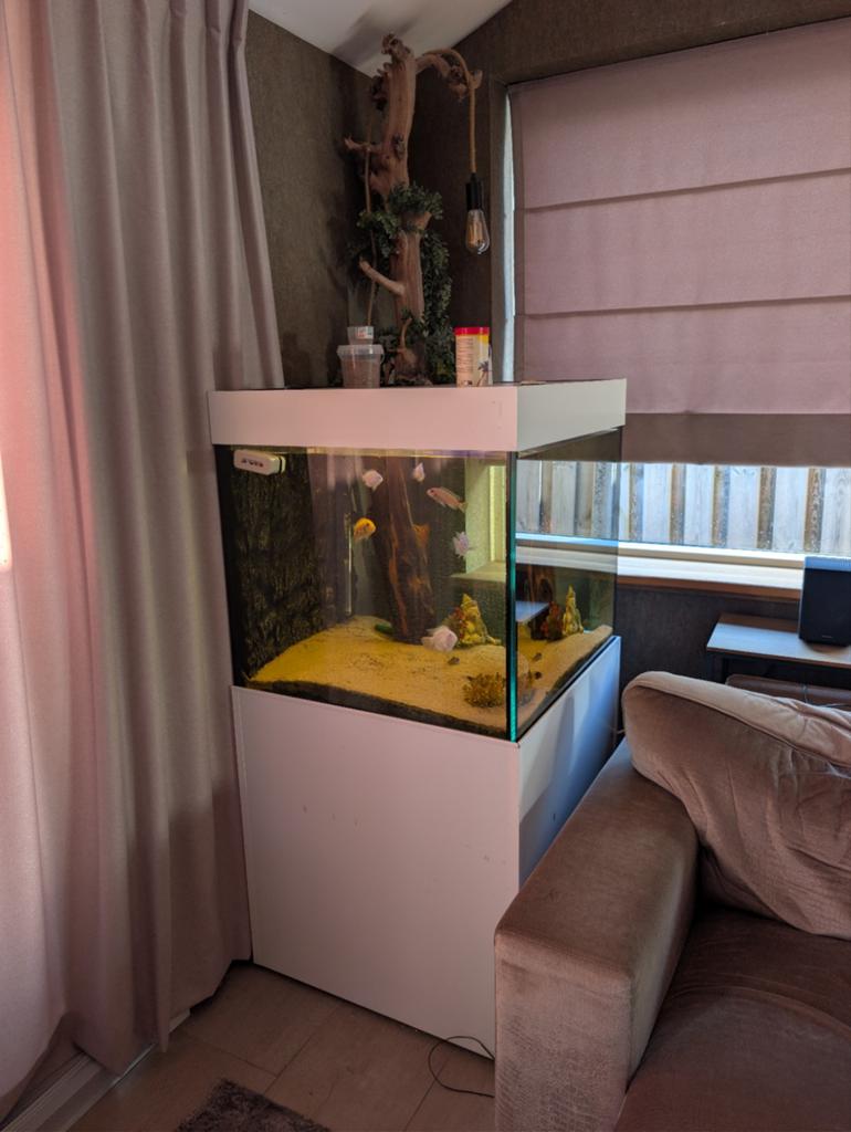 Custom aquarium 70 x 70 x 50 Eheim pomp, Ophalen, Leeg aquarium