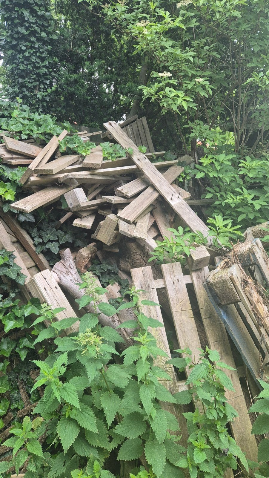 Gratis brandhout pallets, Ophalen of Verzenden, Overige houtsoorten, Minder dan 200 cm, Pallet