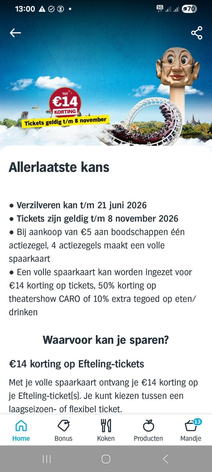 10 Efting spaarkaarten AH, Ophalen, Winkel, Super of Benzinepomp, Zegels, Bonnen of Punten