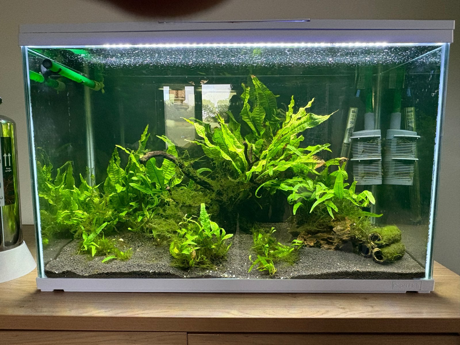 Aquarium met toebehoren, Dieren en Toebehoren, Ophalen, Inclusief slangen, Gebruikt, Filter