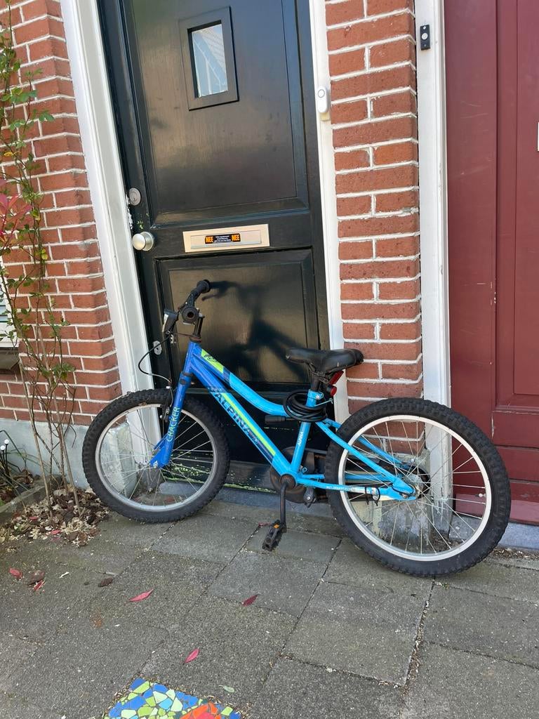 GRATIS Alpina kinderfiets 20 inch, Fietsen en Brommers, Ophalen, Gebruikt, Terugtraprem, 16 tot 20 inch