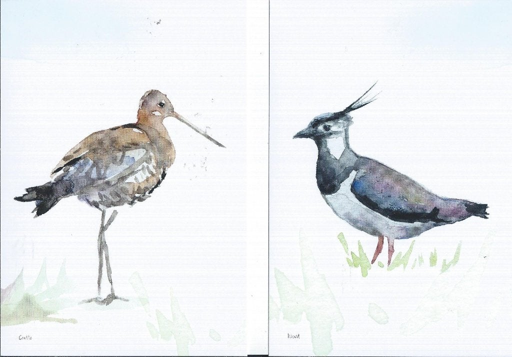 3 ongelopen ansichtkaarten Nederlandse Weidevogels, Verzenden, 1980 tot heden, Overige thema's