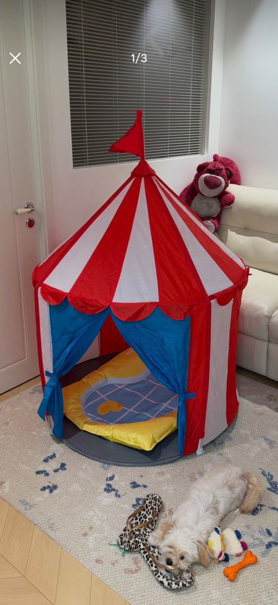 Leuke Kinder Speeltent - Circus Thema, Ophalen of Verzenden, Zo goed als nieuw