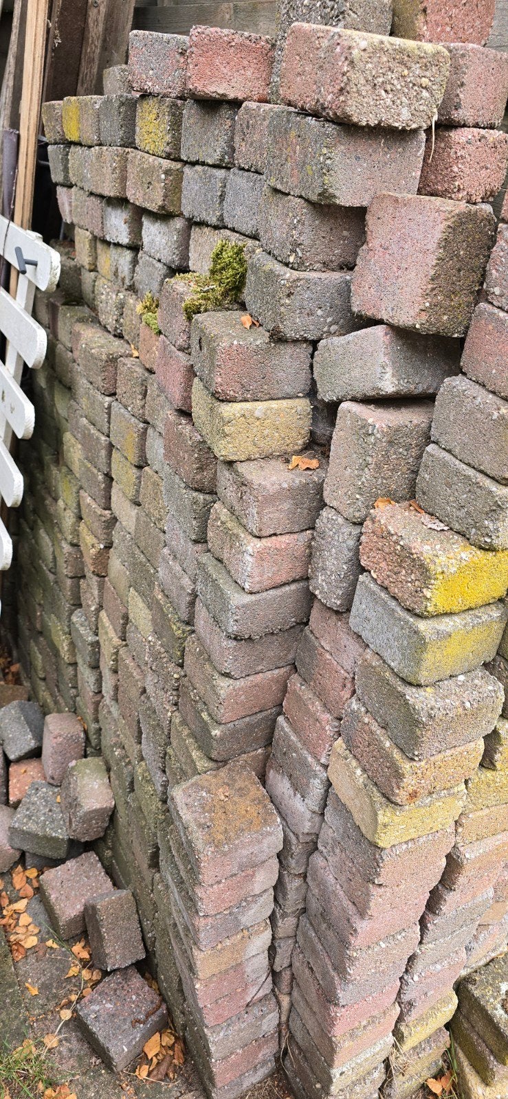 Gratis af te halen: ca. 3 m² betonklinkers (10x10 cm)Gratis, Ophalen, Gebruikt, Beton, Klinkers