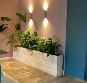 Houten bloembakken / plantenbakken voor in huis of kantoor, Tuin en Terras, Ophalen, 100 cm of meer, Nieuw, Binnen