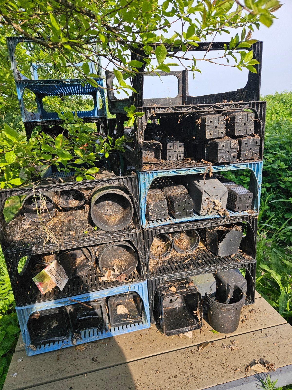 Gratis Kwekerij kratten, bakken en potten voor de moestuin, Ophalen, Kunststof, Gebruikt, Minder dan 30 cm