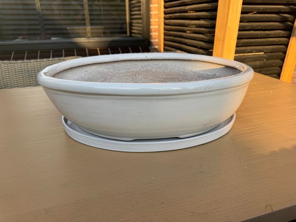 Grote witte bonsaischaal met onderschaal, Tuin en Terras, Bloempotten, Ophalen, 40 cm of meer, Rond, Binnen