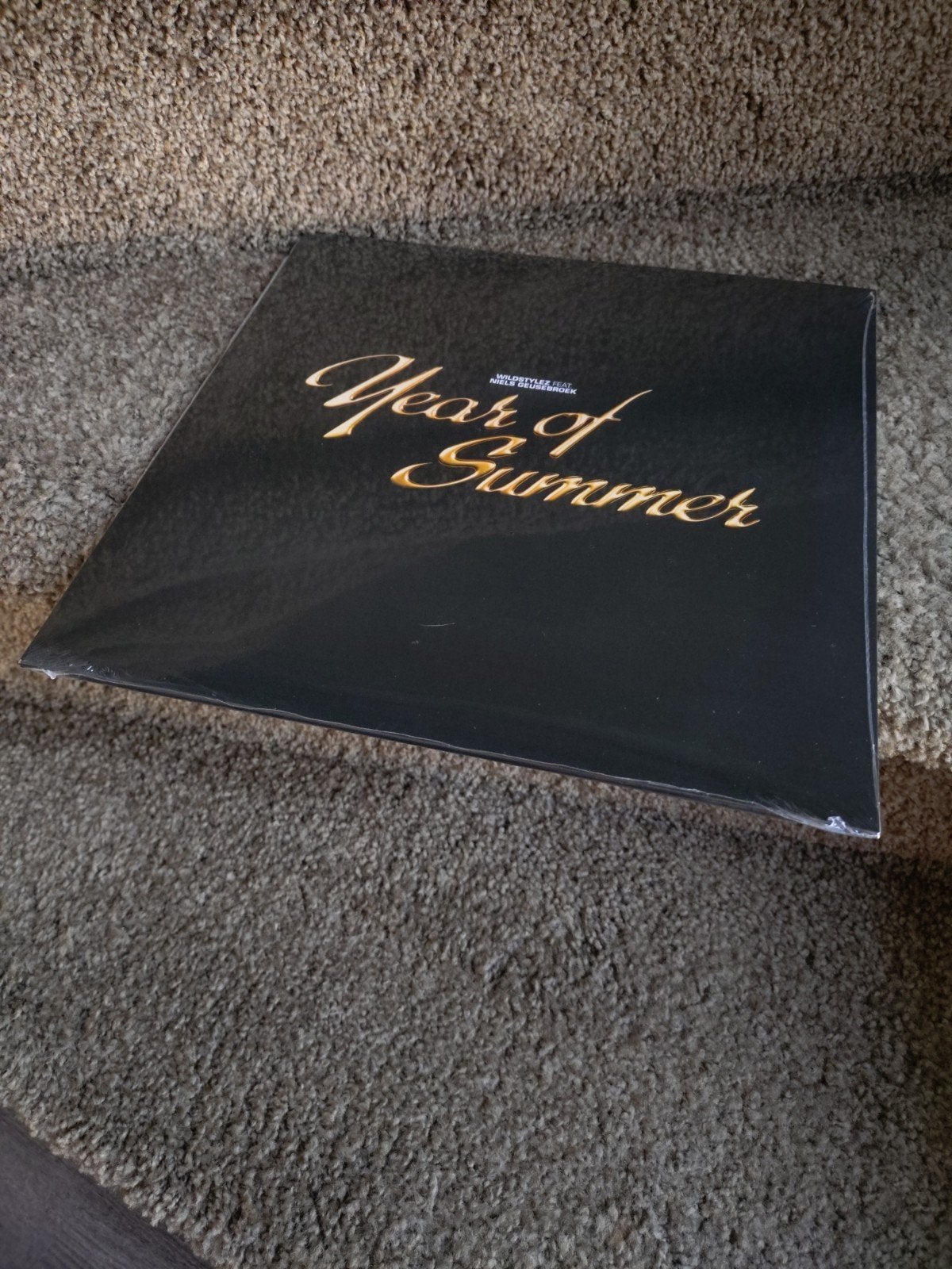 "Year of the Summer" vinyl, Ophalen of Verzenden, Nieuw in verpakking, 12 inch