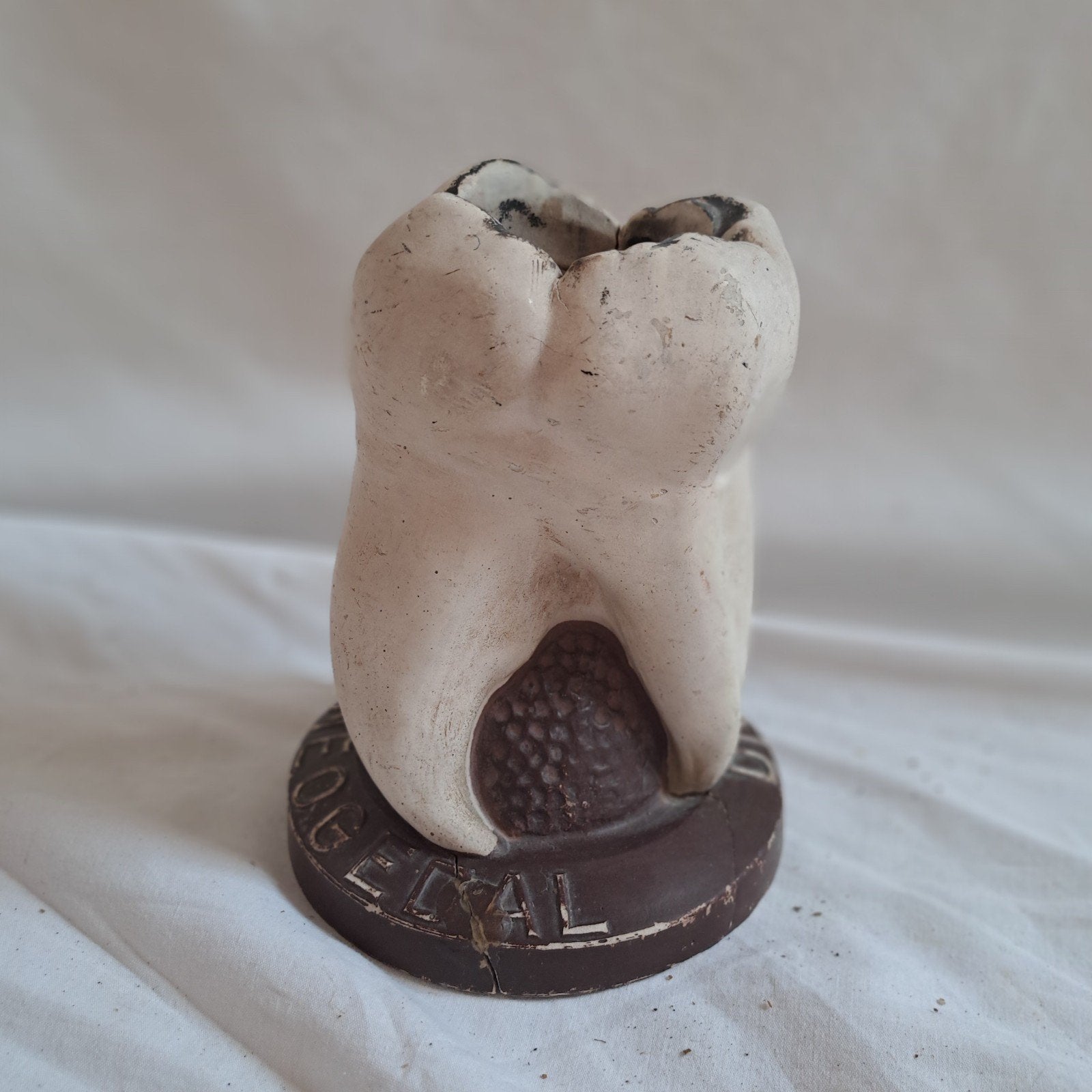 antiek leermodel tandarts kies vulling anatomie, Ophalen of Verzenden