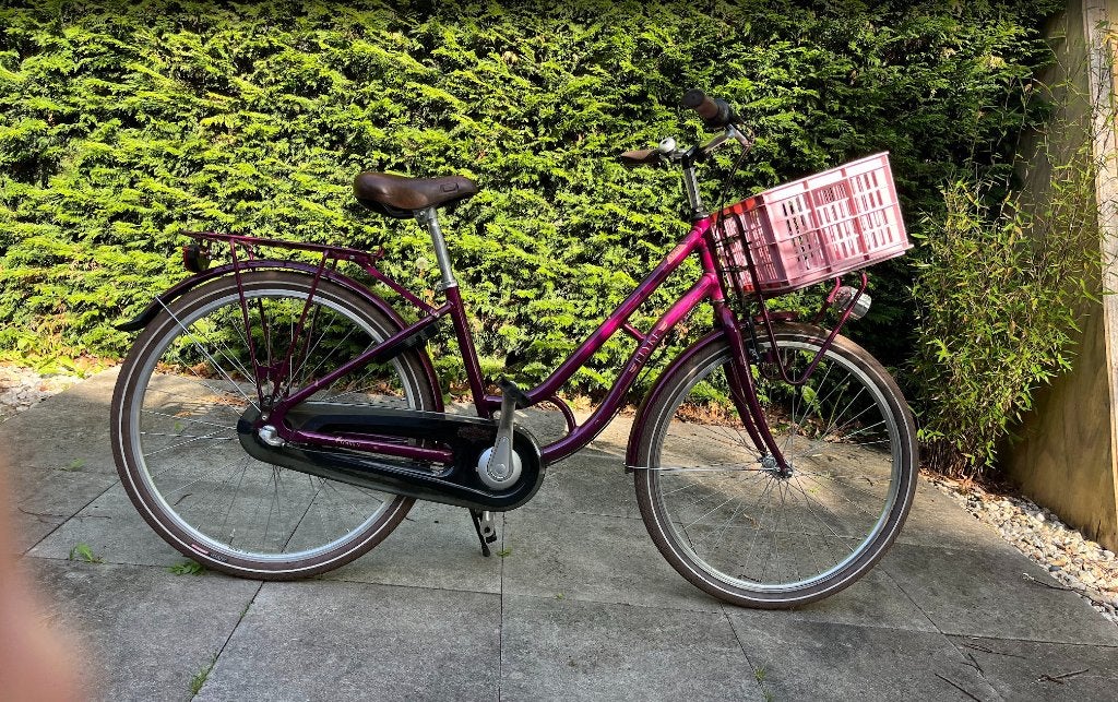 Meisjesfiets - Girls Bike - Pegasus Tour 26, Gebruikt, Velgrem, Versnellingen, Pegasus
