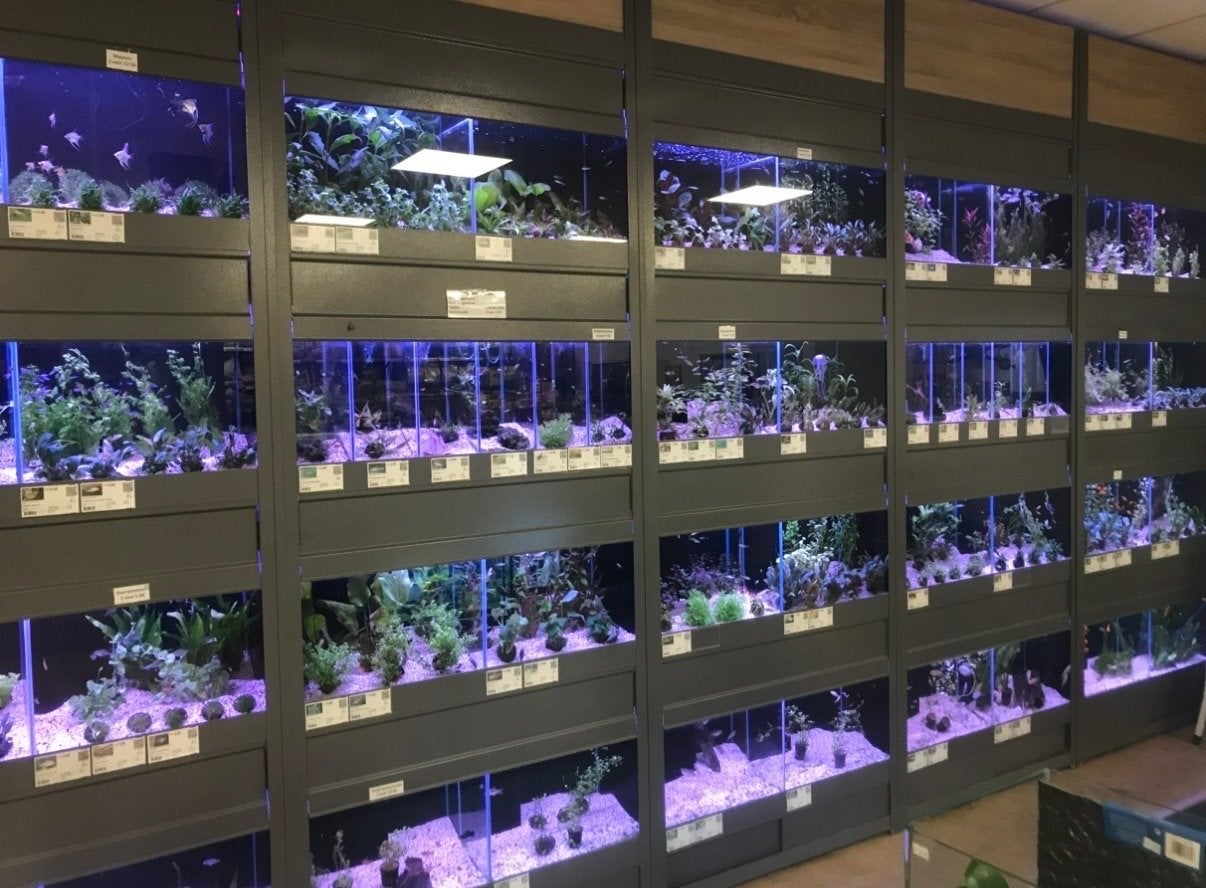 Aquariumstelling Winkelstelling Kweekstelling 2 meter breed, Ophalen, Inclusief toebehoren, Gebruikt, Leeg aquarium