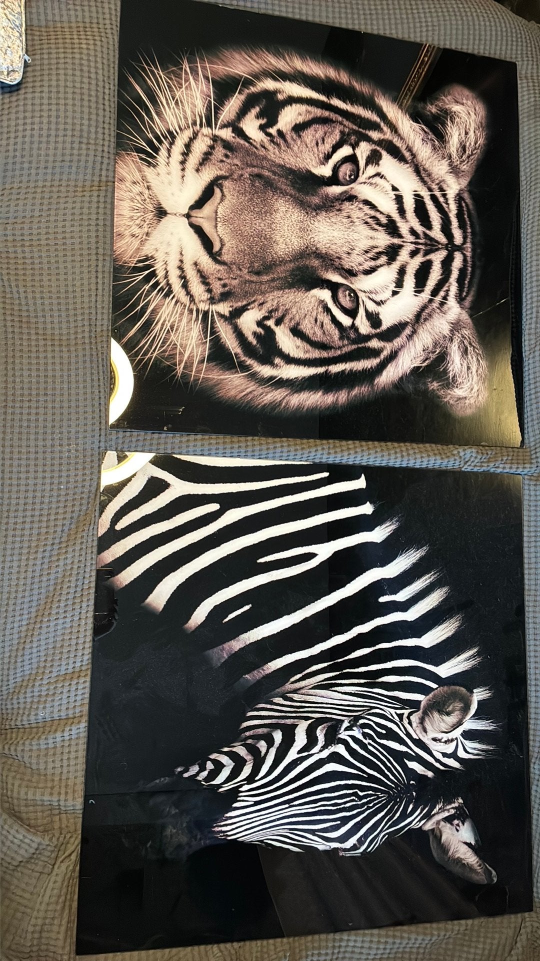Plexiglas schilderij, Ophalen