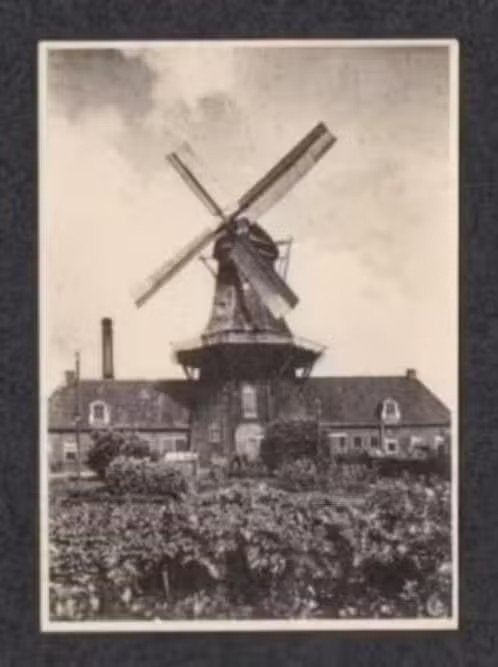Roderwolde Oliemolen Bovenkruier., Ophalen of Verzenden, 1960 tot 1980, Ongelopen, Drenthe