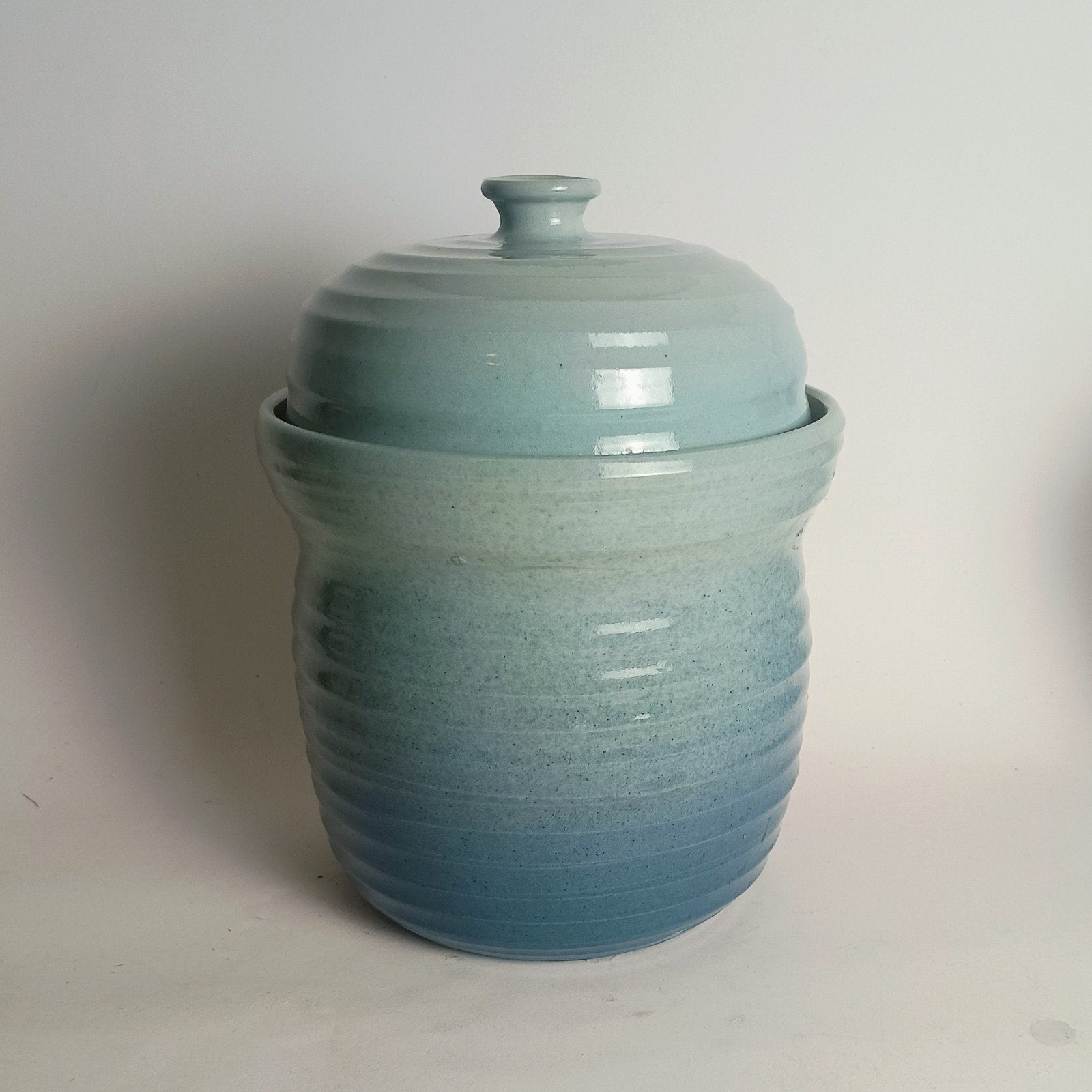 Mooie fermenteerpot / zuurkoolpot (2.7 liter), Ophalen of Verzenden, Nieuw, Overige materialen, Pot, Bus of Blik