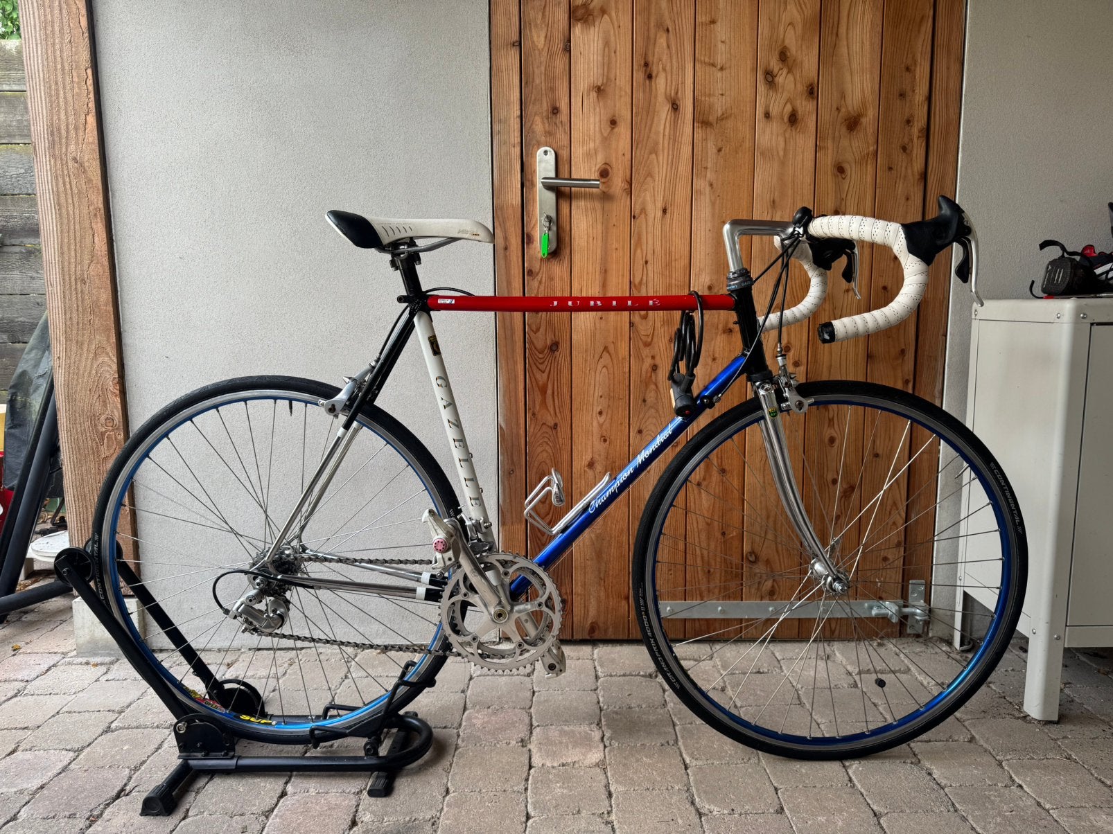 Gazelle Champion Mondial - 100 Jaar Editie (1992), Ophalen, Gebruikt, Heren, Gazelle