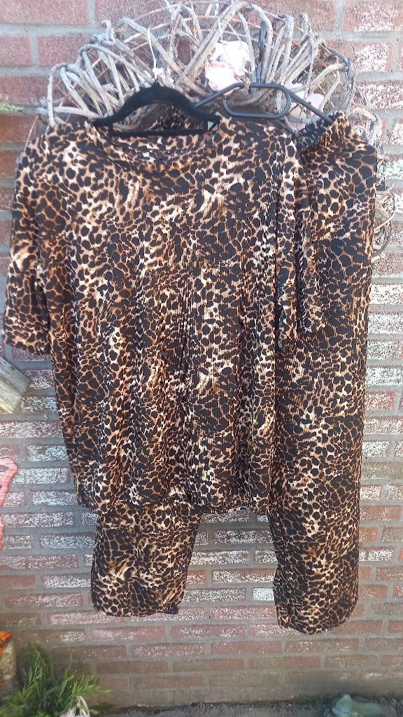 Panter pak, Kleding | Dames, Ophalen of Verzenden, Nieuw, Maat 42/44 (L), Bruin