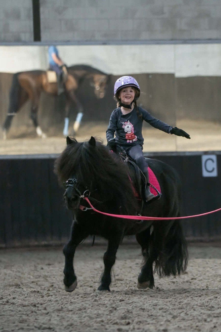 de allerliefste kinder/bixie pony, Merrie, A pony (tot 1.17m), 11 jaar of ouder, Recreatiepony