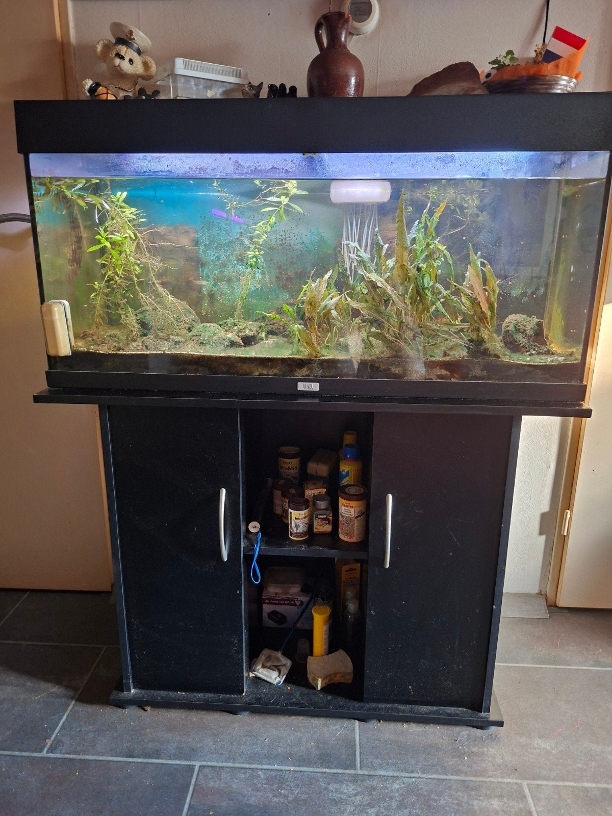 Juwel Aquarium, Dieren en Toebehoren, Vissen | Aquaria en Toebehoren, Ophalen, Leeg aquarium
