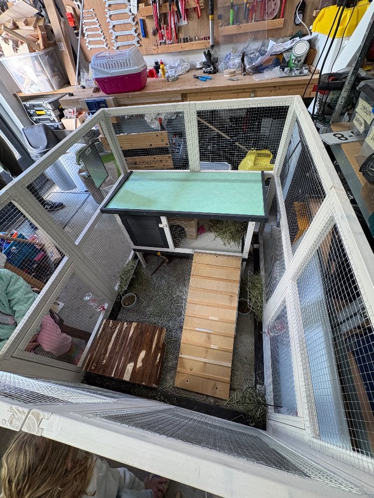 Nachthok/konijnenhok/caviahok, Ophalen, 60 tot 90 cm, Zo goed als nieuw, Konijn