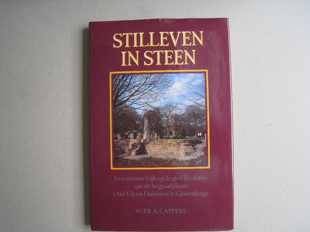 Stilleven in steen, Ophalen of Verzenden, Nieuw, W.P.R.A. Cappers