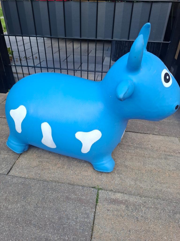 Blauwe springkoe / skippybal voor kinderen, Ophalen of Verzenden, Gebruikt, Jongen of Meisje