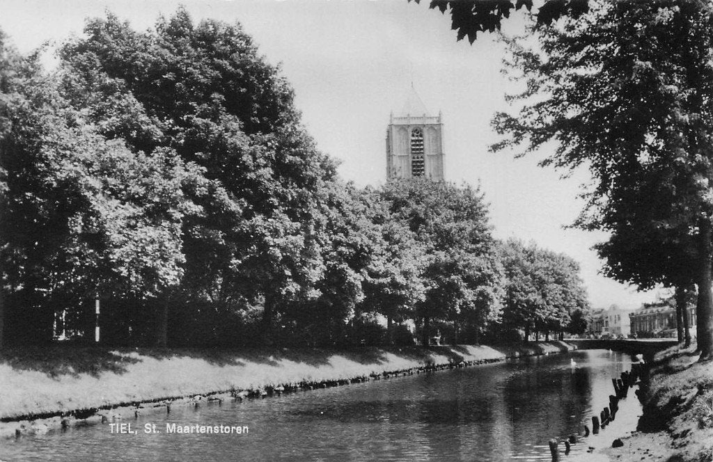 Tiel - St. Maartenstoren (achter bomen) HEMA uitg., Ophalen of Verzenden, 1960 tot 1980, Ongelopen, Gelderland