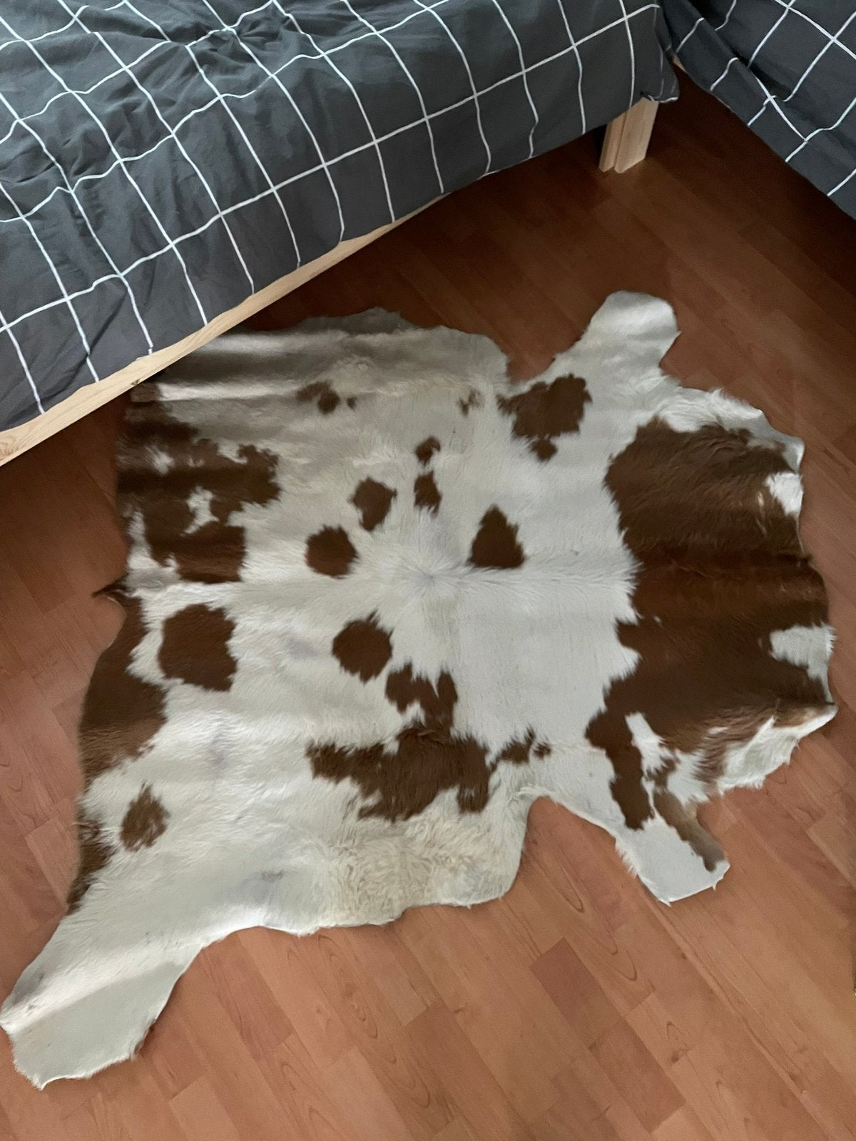 Vloerkleed koeienhuid, Ophalen, 150 tot 200 cm, 200 cm of meer, Zo goed als nieuw
